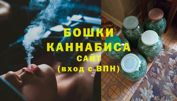 mdpv Богородицк