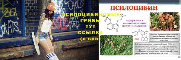 COCAINE Богородск